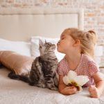 Personas que adoptan perritos se estresan menos: estudio