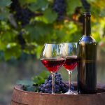 Una copa de vino equivale a una hora de gimnasio