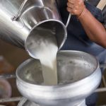 11 de enero – Día nacional de la leche