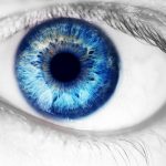 Todos los que tienen los ojos azules descienden de una sola persona