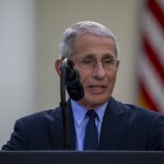 Fauci: “En algunas situaciones no habrá problemas para que niños vuelvan a la escuela”