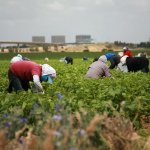 Inmigrantes latinos exigen protecciones laborales en EEUU en Día del Trabajo