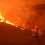 En medio del calor, los incendios forestales siguen ardiendo en el oeste de EE.UU.