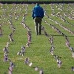 20,000 banderas fueron instaladas en el Paseo Nacional para conmemorar las victimas del coronavirus en EE.UU.