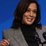 Kamala Harris dijo que visitará la frontera entre Estados Unidos y México cuando sea el momento