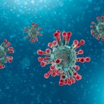 El número de muertes por coronavirus en el mundo supera los 2.5 millones