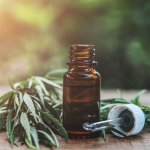 Beneficios del aceite de cannabis para la piel