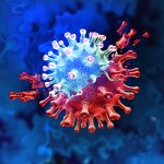 Coronavirus sigue expandiéndose en el país