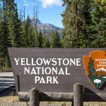 Las aguas de Yellowstone llegan al este de Montana