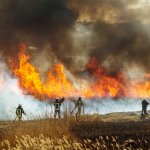 Decenas de incendios forestales arrasan el seco Oeste