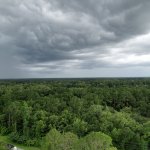 La tormenta tropical Elsa amenaza la costa norte del Golfo de Florida