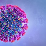 La OMS vigila una nueva variante del coronavirus denominada Mu