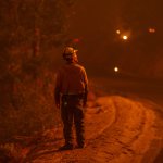 Los incendios forestales siguen ardiendo en California y pueden suponer una amenaza para los árboles de secuoya