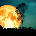 Llega la luna de la cosecha