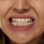 Científicos logran hacer crecer dientes humanos en laboratorio