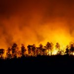 Incendio forestal causó estragos en Texas