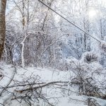 Una tormenta de nieve invernal azota el centro y el oeste de EE.UU.