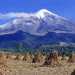 Los árboles podrían predecir erupciones volcánicas, según científicos