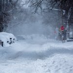 Alerta de nevadas masivas afecta Halloween y cosecha de calabazas en EE. UU.