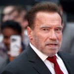 Netflix nombró a Arnold Schwarzenegger como su Director de Acción