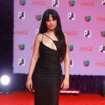 Surgen rumores de romance entre Camila Cabello y Rauw Alejandro tras ruptura con Rosalía