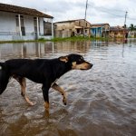 Idalia se intensifica y amenaza a Cuba y Florida