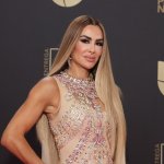 Rumores aseguran que Ninel Conde se casará nuevamente