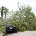 Beryl Deja Destrucción en Texas