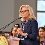 Liz Cheney apoya a Kamala Harris para la presidencia por considerar a Trump un peligro para la democracia